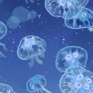 Meet your Posher, Darlene